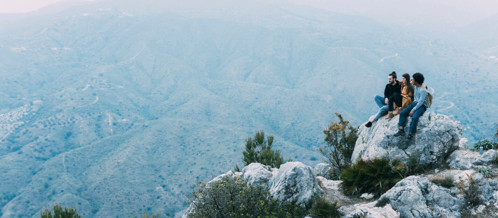 Banner 0